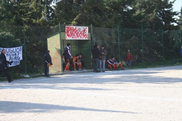 PETTINEO - PARNASSIUS (59).jpg