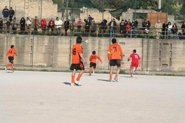 PETTINEO - PARNASSIUS (65).jpg