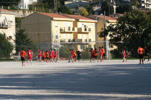 PETTINEO - PARNASSIUS (72).jpg