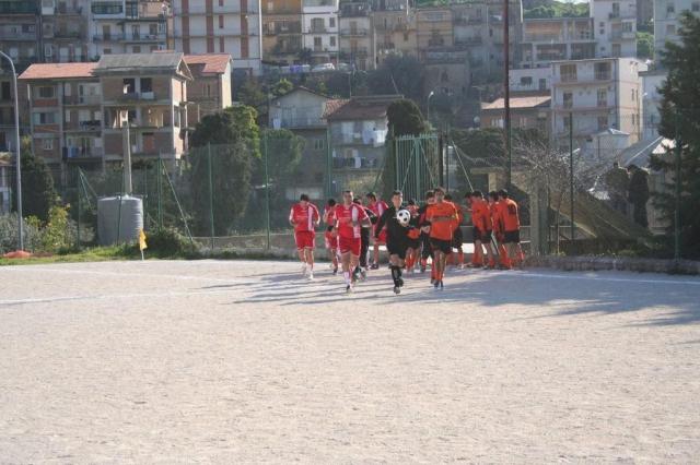 PETTINEO - PARNASSIUS (85).jpg