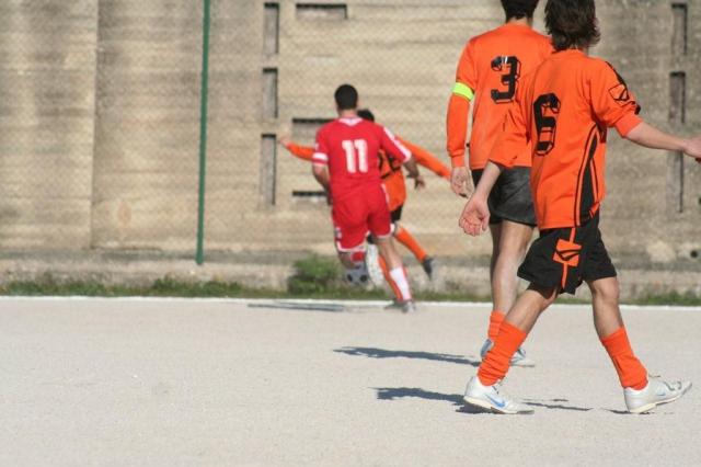 PETTINEO - PARNASSIUS (91).jpg