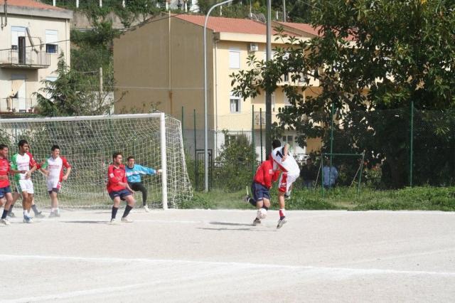 SPAREGGIO CASTELLUCESE  -  PARNASSIUS (105).jpg