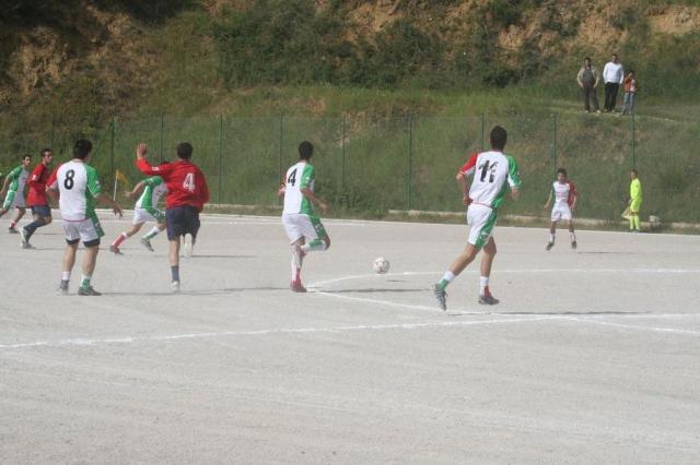 SPAREGGIO CASTELLUCESE  -  PARNASSIUS (112).jpg