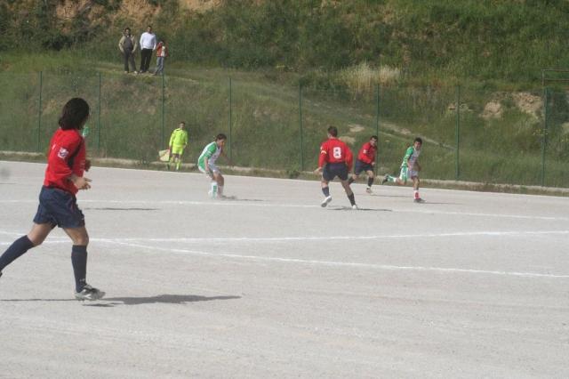 SPAREGGIO CASTELLUCESE  -  PARNASSIUS (113).jpg