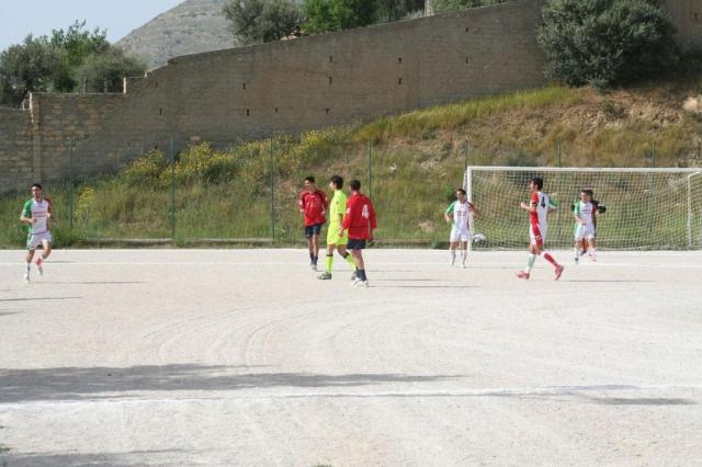 SPAREGGIO CASTELLUCESE  -  PARNASSIUS (122).jpg