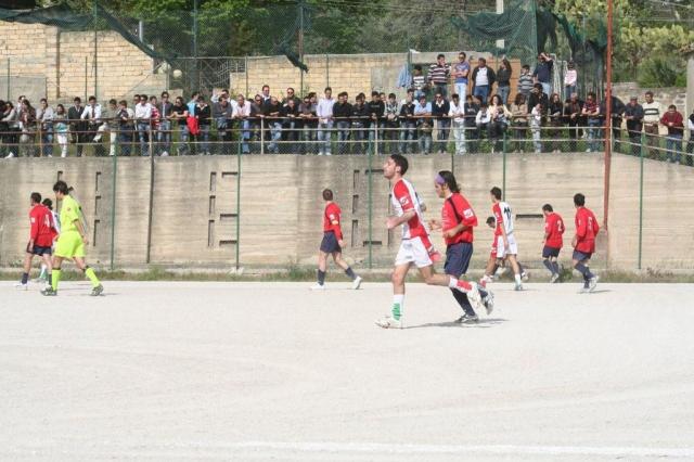 SPAREGGIO CASTELLUCESE  -  PARNASSIUS (131).jpg