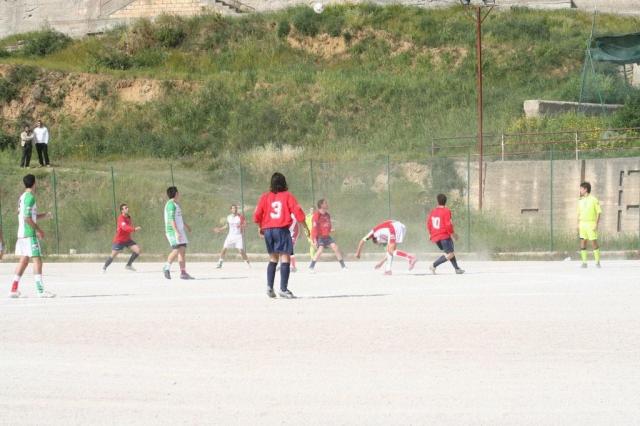 SPAREGGIO CASTELLUCESE  -  PARNASSIUS (137).jpg