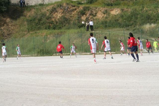 SPAREGGIO CASTELLUCESE  -  PARNASSIUS (138).jpg