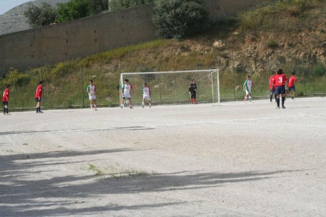 SPAREGGIO CASTELLUCESE  -  PARNASSIUS (140).jpg