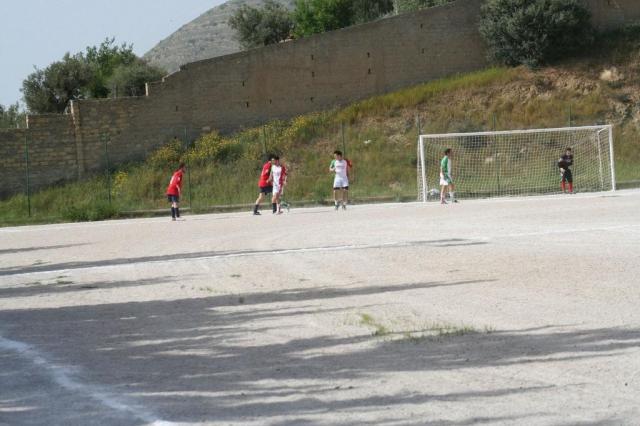 SPAREGGIO CASTELLUCESE  -  PARNASSIUS (141).jpg