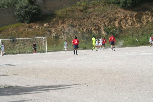 SPAREGGIO CASTELLUCESE  -  PARNASSIUS (142).jpg