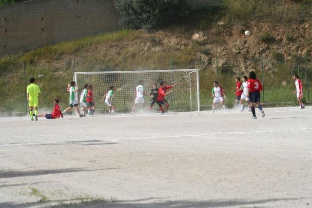 SPAREGGIO CASTELLUCESE  -  PARNASSIUS (144).jpg