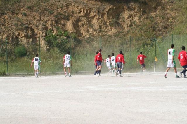 SPAREGGIO CASTELLUCESE  -  PARNASSIUS (151).jpg