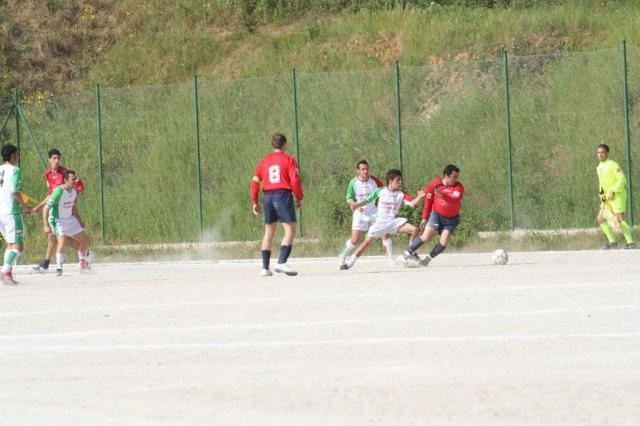 SPAREGGIO CASTELLUCESE  -  PARNASSIUS (154).jpg