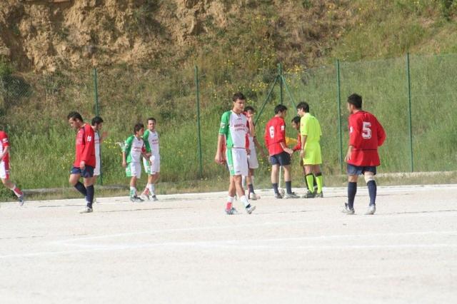 SPAREGGIO CASTELLUCESE  -  PARNASSIUS (158).jpg