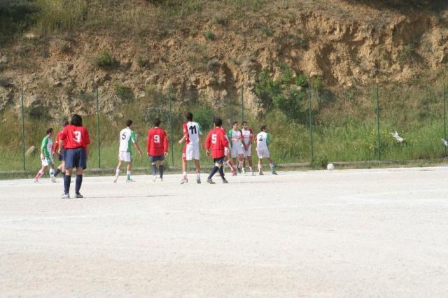 SPAREGGIO CASTELLUCESE  -  PARNASSIUS (162).jpg