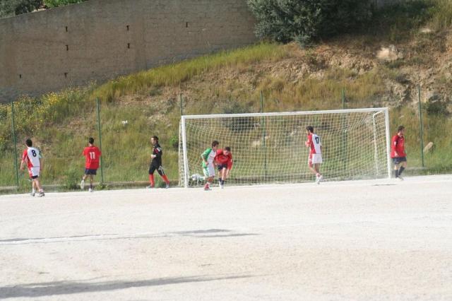 SPAREGGIO CASTELLUCESE  -  PARNASSIUS (163).jpg