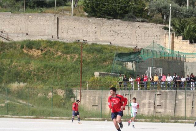 SPAREGGIO CASTELLUCESE  -  PARNASSIUS (169).jpg