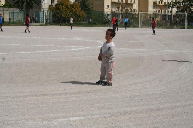 SPAREGGIO CASTELLUCESE  -  PARNASSIUS (17).jpg