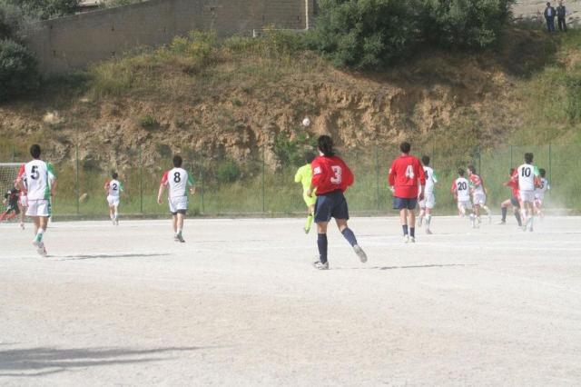 SPAREGGIO CASTELLUCESE  -  PARNASSIUS (173).jpg