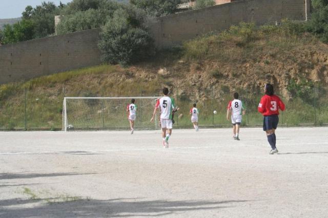 SPAREGGIO CASTELLUCESE  -  PARNASSIUS (174).jpg