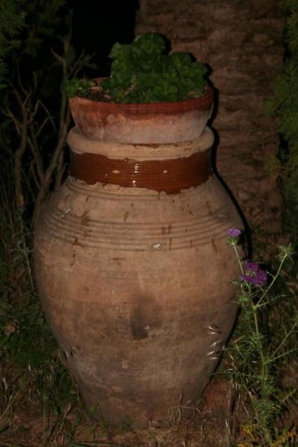 FESTA FINE CAMPIONATO (186).jpg