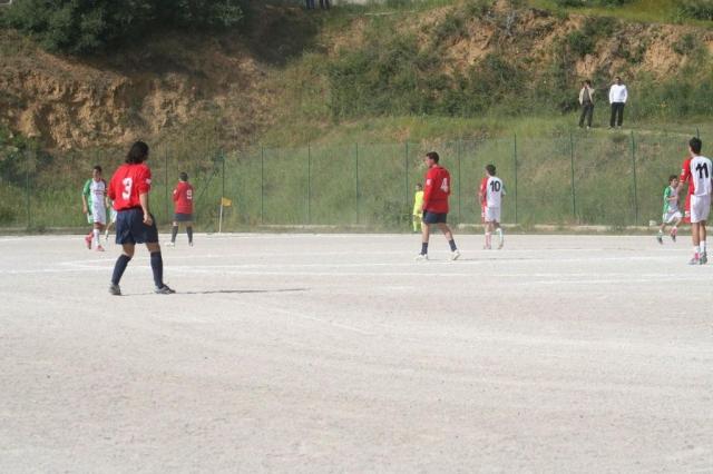 SPAREGGIO CASTELLUCESE  -  PARNASSIUS (177).jpg