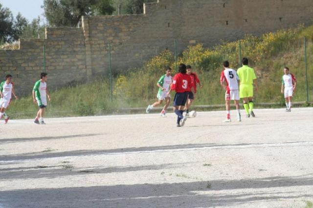 SPAREGGIO CASTELLUCESE  -  PARNASSIUS (178).jpg