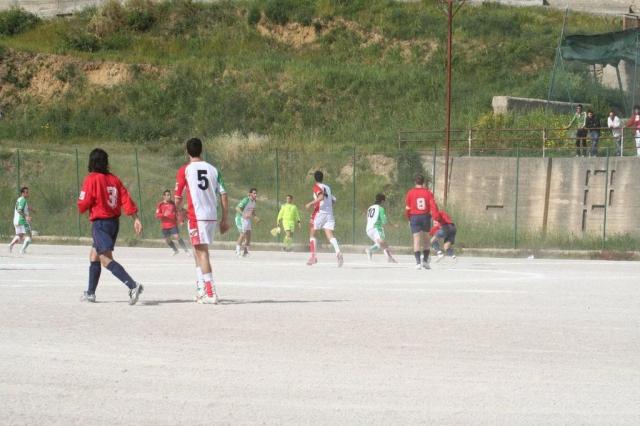 SPAREGGIO CASTELLUCESE  -  PARNASSIUS (181).jpg