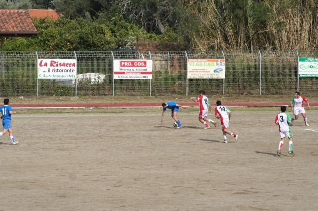 SANTAGATA - PARNASSIUS (231).jpg