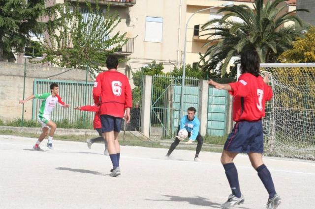 SPAREGGIO CASTELLUCESE  -  PARNASSIUS (184).jpg