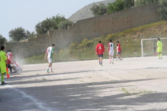 SPAREGGIO CASTELLUCESE  -  PARNASSIUS (187).jpg