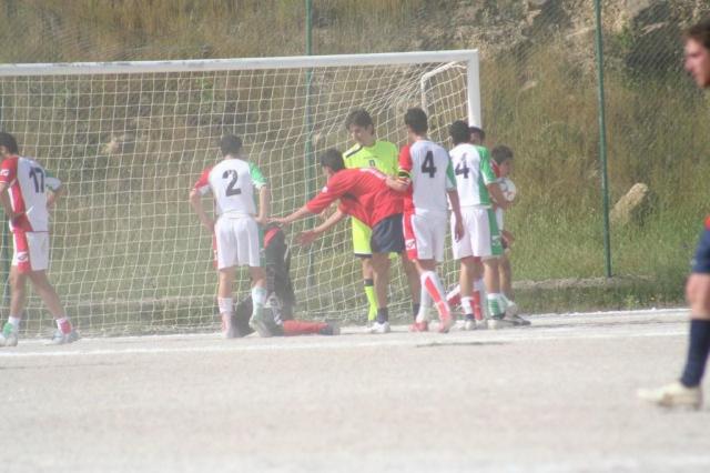 SPAREGGIO CASTELLUCESE  -  PARNASSIUS (193).jpg