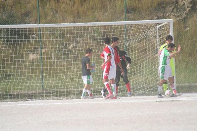 SPAREGGIO CASTELLUCESE  -  PARNASSIUS (194).jpg