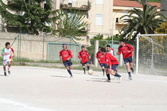 SPAREGGIO CASTELLUCESE  -  PARNASSIUS (198).jpg