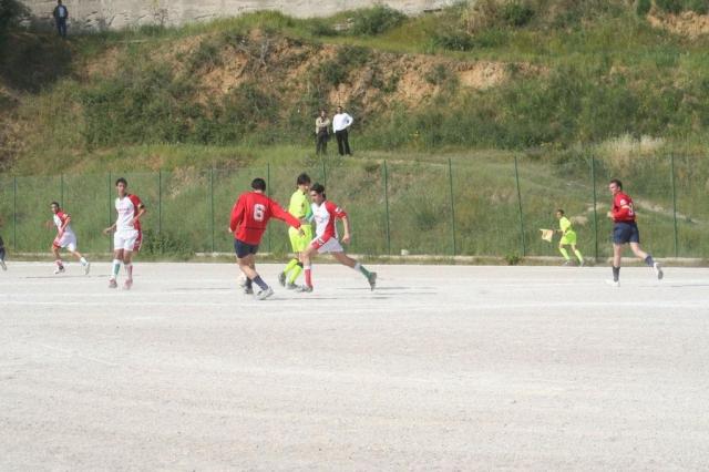 SPAREGGIO CASTELLUCESE  -  PARNASSIUS (201).jpg