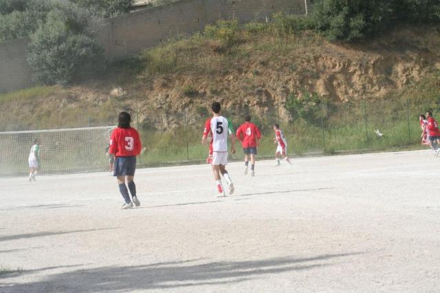 SPAREGGIO CASTELLUCESE  -  PARNASSIUS (202).jpg