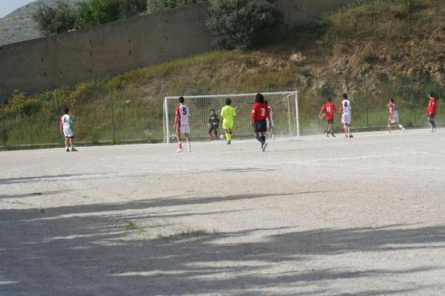 SPAREGGIO CASTELLUCESE  -  PARNASSIUS (208).jpg