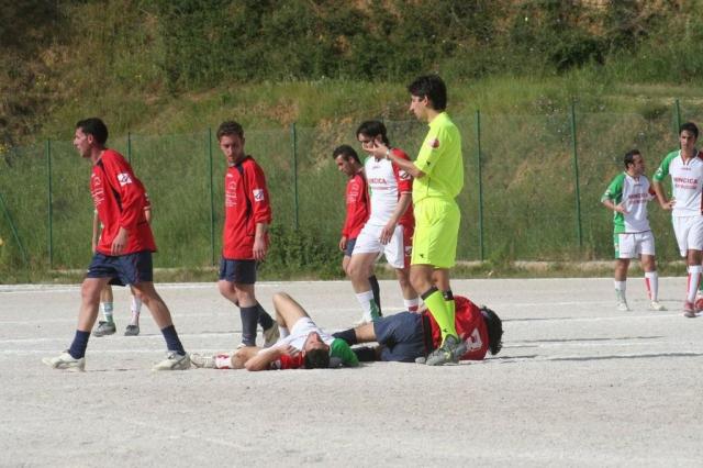 SPAREGGIO CASTELLUCESE  -  PARNASSIUS (213).jpg