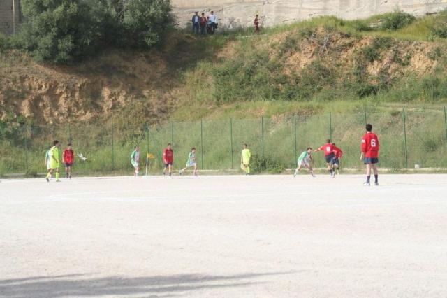 SPAREGGIO CASTELLUCESE  -  PARNASSIUS (221).jpg