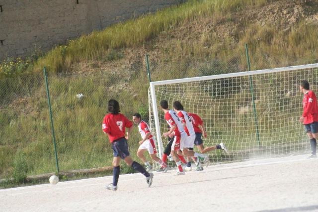 SPAREGGIO CASTELLUCESE  -  PARNASSIUS (226).jpg