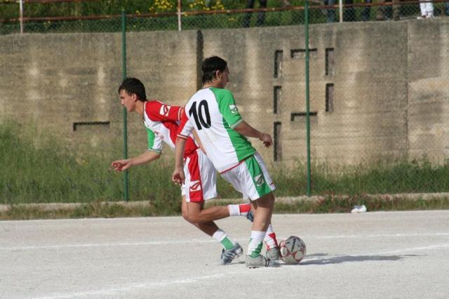 SPAREGGIO CASTELLUCESE  -  PARNASSIUS (238).jpg