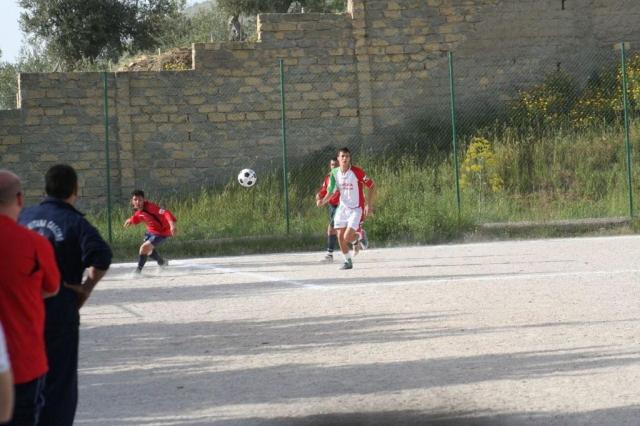 SPAREGGIO CASTELLUCESE  -  PARNASSIUS (247).jpg