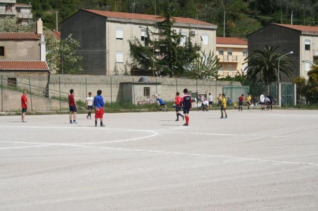 SPAREGGIO CASTELLUCESE  -  PARNASSIUS (39).jpg