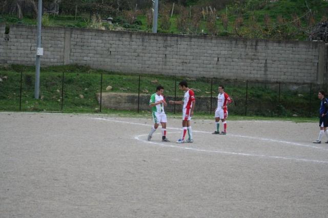 TUSA - PARNASSIUS (317).jpg