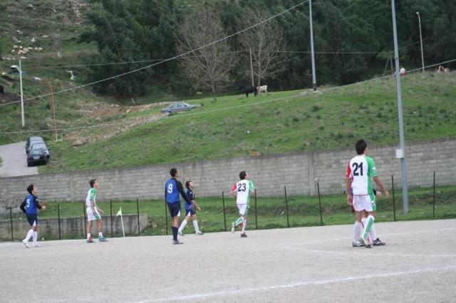 TUSA - PARNASSIUS (333).jpg