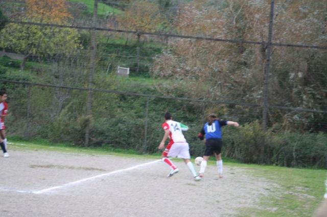 TUSA - PARNASSIUS (347).jpg