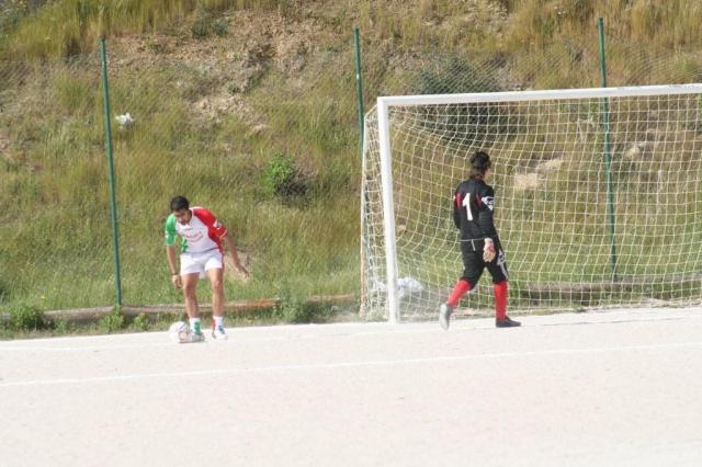 SPAREGGIO CASTELLUCESE  -  PARNASSIUS (96).jpg