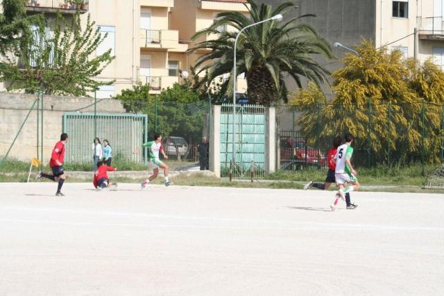 SPAREGGIO CASTELLUCESE  -  PARNASSIUS (98).jpg