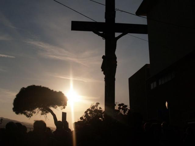 OFFERTI DA PIPPO ZITELLI (71).JPG